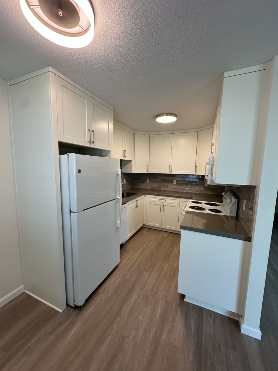 Project Efficient Kitchen Makeover in a Cozy Apartment image